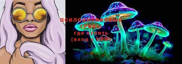 трава Балахна