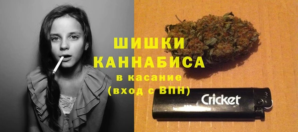 ПСИЛОЦИБИНОВЫЕ ГРИБЫ Балабаново