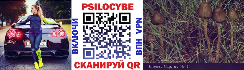 Псилоцибиновые грибы Psilocybe  хочу наркоту  ОМГ ОМГ ссылка  Электросталь 